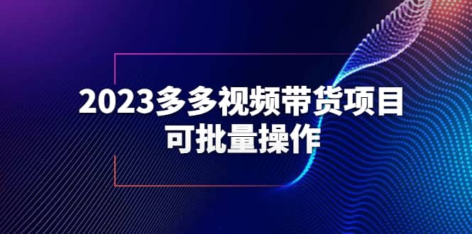 2023多多视频带货项目，可批量操作【保姆级教学】-九章网创