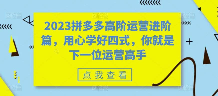 2023拼多多高阶运营进阶篇，用心学好四式，你就是下一位运营高手-九章网创