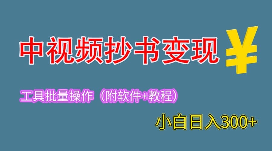 2023中视频抄书变现（附工具 教程），一天300 ，特别适合新手操作的副业-九章网创