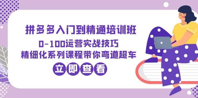 2023拼多多入门到精通培训班：0-100运营实战技巧 精细化系列课带你弯道超车-九章网创