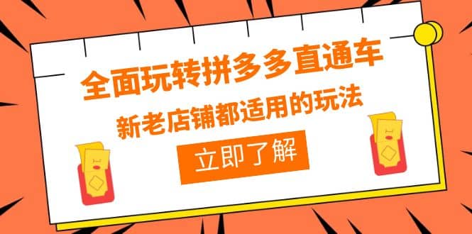 全面玩转拼多多直通车，新老店铺都适用的玩法（12节精华课）-九章网创