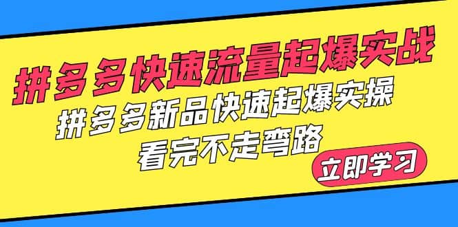 拼多多-快速流量起爆实战，拼多多新品快速起爆实操，看完不走弯路-九章网创