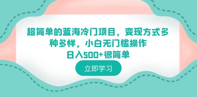 超简单的蓝海冷门项目，变现方式多种多样，小白无门槛操作日入500 很简单-九章网创