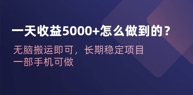 一天收益5000 怎么做到的？无脑搬运即可，长期稳定项目，一部手机可做-九章网创