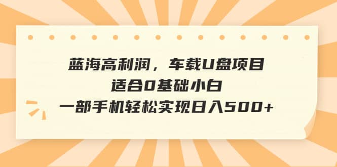 蓝海高利润，车载U盘项目，适合0基础小白，一部手机轻松实现日入500-九章网创