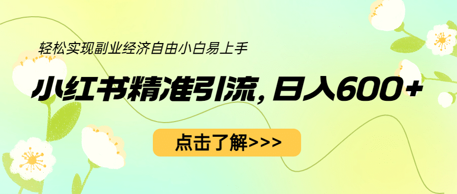 小红书精准引流，小白日入600 ，轻松实现副业经济自由（教程 1153G资源）-九章网创