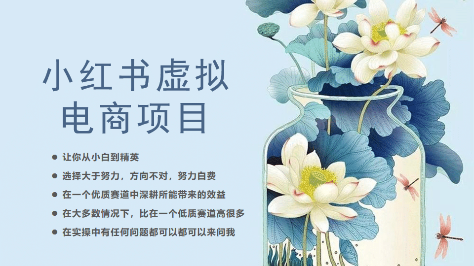 小红书虚拟电商从0到1，让你从小白到精英（20节实操课程）-九章网创