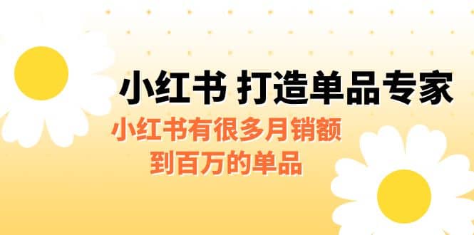 某公众号付费文章《小红书 打造单品专家》小红书有很多月销额到百万的单品-九章网创