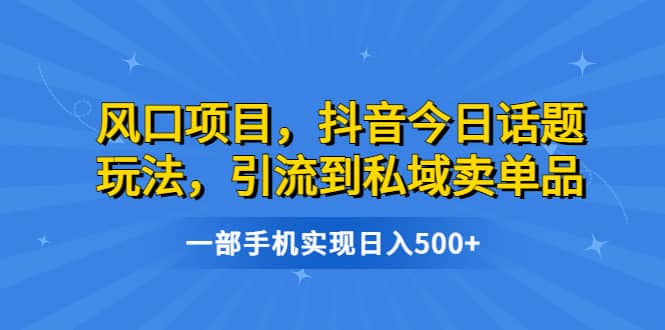 风口项目，抖音今日话题玩法，引流到私域卖单品，一部手机实现日入500-九章网创