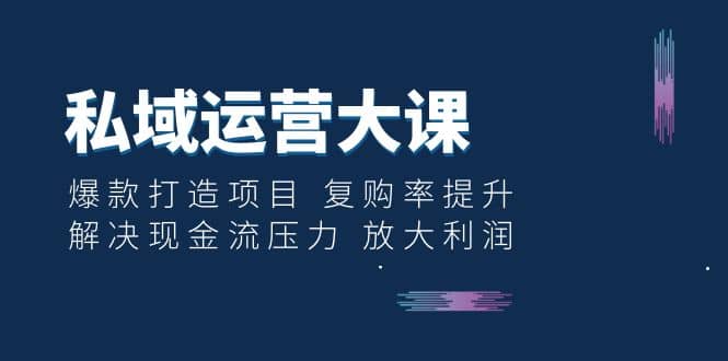 私域运营大课：爆款打造项目 复购率提升 解决现金流压力 放大利润-九章网创