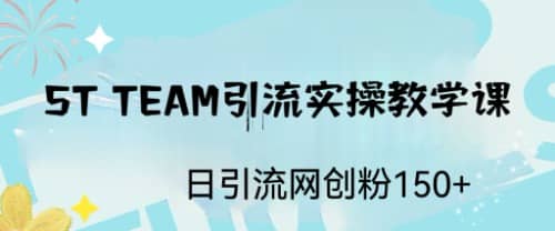 ST TEAM引流实操课，日引流网创粉100-九章网创