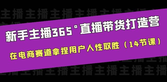 新手主播365°直播带货·打造营，在电商赛道拿捏用户人性取胜（14节课）-九章网创