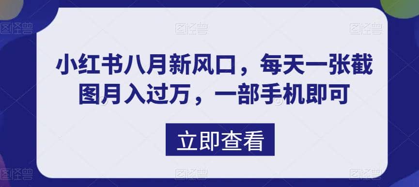 八月新风口，小红书虚拟项目一天收入1000 ，实战揭秘-九章网创