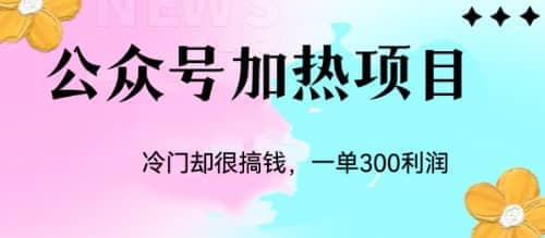 冷门公众号加热项目，一单利润300-九章网创