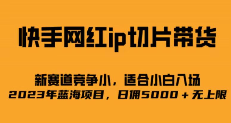 快手网红ip切片新赛道，竞争小事，适合小白 2023蓝海项目-九章网创