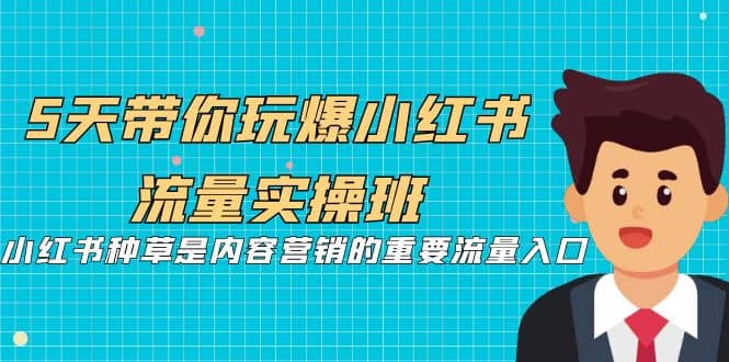 5天带你玩爆小红书流量实操班，小红书种草是内容营销的重要流量入口-九章网创