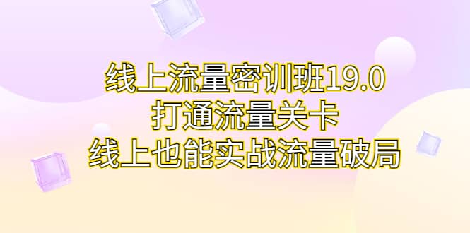 线上流量密训班19.0，打通流量关卡，线上也能实战流量破局-九章网创