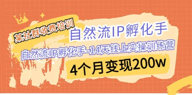 某社群收费培训：自然流IP 孵化手-14天线上实操训练营 4个月变现200w-九章网创