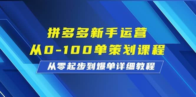 拼多多新手运营从0-100单策划课程，从零起步到爆单详细教程-九章网创