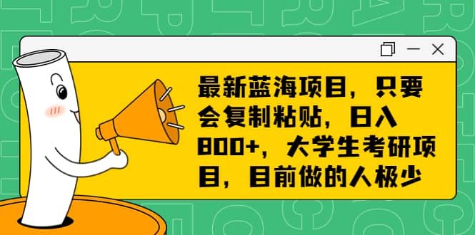 最新蓝海项目，只要会复制粘贴，日入800 ，大学生考研项目，目前做的人极少-九章网创