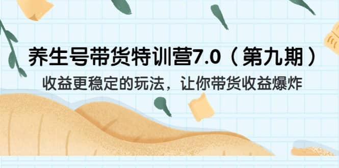 养生号带货特训营7.0（第九期）收益更稳定的玩法 让你带货收益爆炸（11节）-九章网创