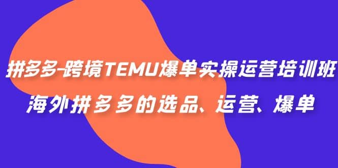 拼多多-跨境TEMU爆单实操运营培训班，海外拼多多的选品、运营、爆单-九章网创