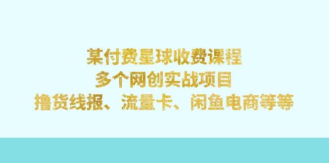 某付费星球课程：多个网创实战项目，撸货线报、流量卡、闲鱼电商等等-九章网创