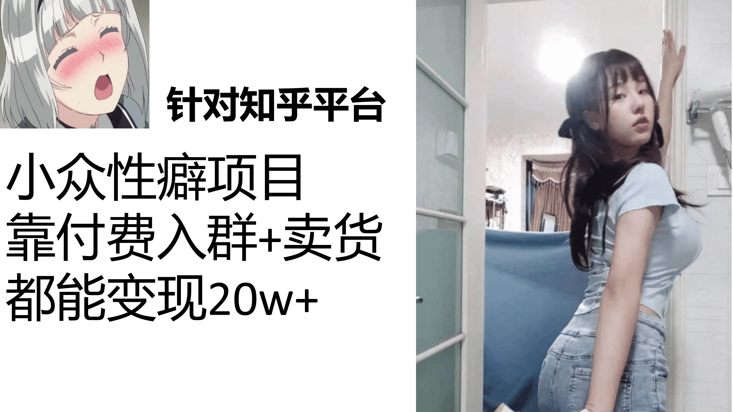 知乎小众性癖项目，Lsp的钱才是最好赚的，付费建群 卖货变现20w-九章网创