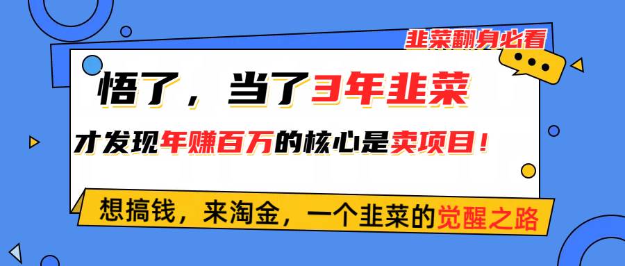 悟了，当了3年韭菜，才发现网赚圈年赚100万的核心是卖项目，含泪分享！-九章网创