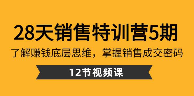 28天·销售特训营5期：了解赚钱底层思维，掌握销售成交密码（12节课）-九章网创