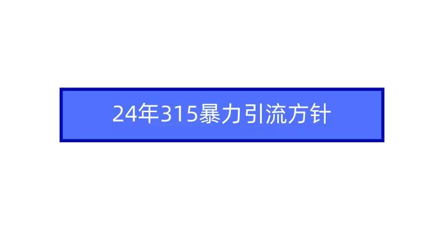 2024年315暴力引流方针-九章网创