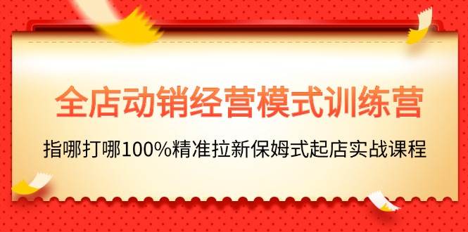 全店动销-经营模式训练营，指哪打哪100%精准拉新保姆式起店实战课程-九章网创