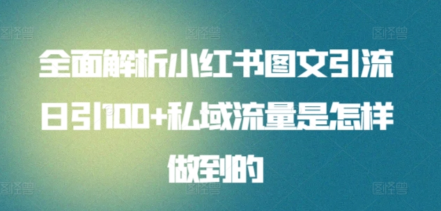 图片[1]-全面解析小红书图文引流日引100私域流量是怎样做到的-九章网创