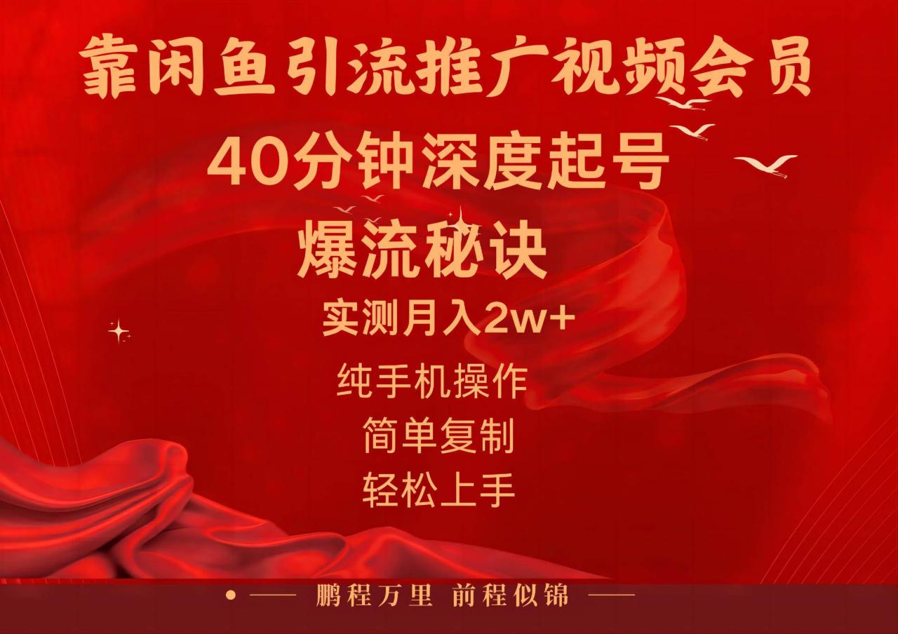 闲鱼暴力引流推广视频会员，能做到日入2W+，操作简单-九章网创