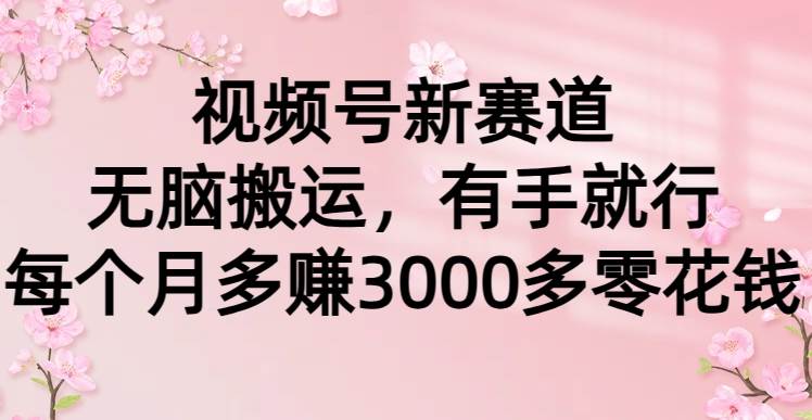 视频号新赛道，无脑搬运，有手就行，每个月多赚3000多零花钱-九章网创