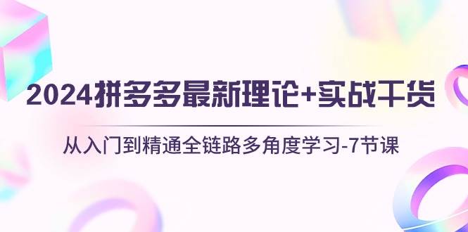 2024拼多多 最新理论+实战干货，从入门到精通全链路多角度学习-7节课-九章网创