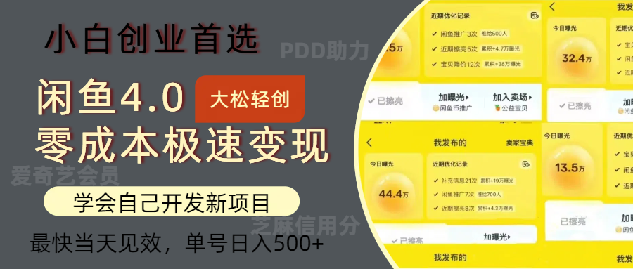 闲鱼0成本极速变现项目，多种变现方式，单号日入500+最新玩法-九章网创