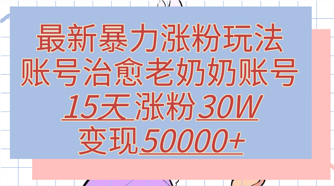 最新暴力涨粉玩法，治愈老奶奶账号，15天涨粉30W，变现50000+【揭秘】-九章网创