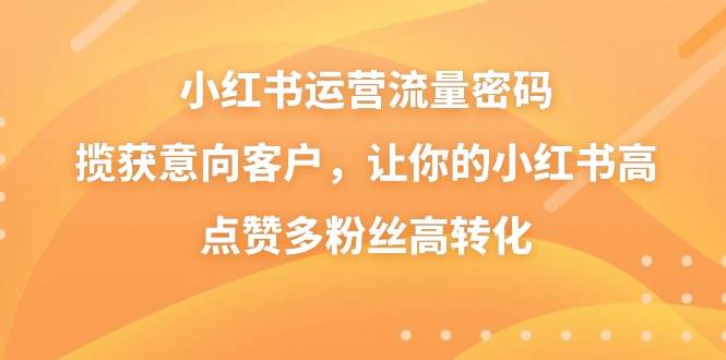 小红书运营流量密码，揽获意向客户，让你的小红书高点赞多粉丝高转化-九章网创