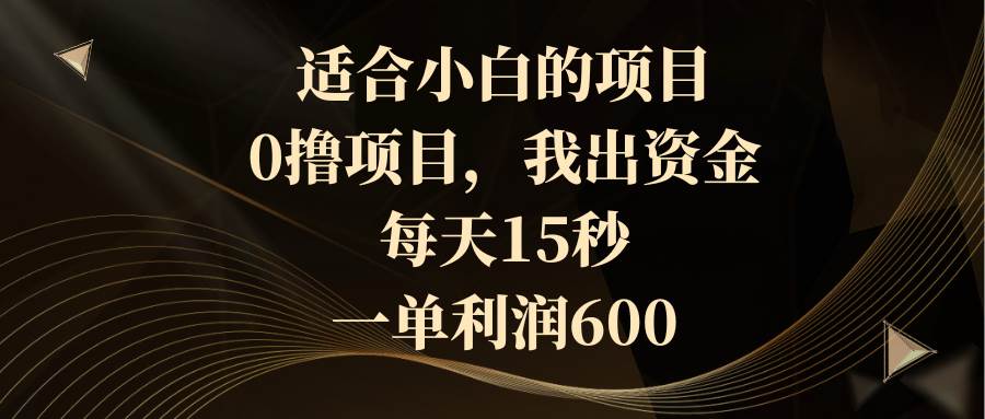 适合小白的项目，0撸项目，我出资金，每天15秒，一单利润600-九章网创