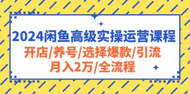 2024闲鱼高级实操运营课程：开店/养号/选择爆款/引流/月入2万/全流程-九章网创