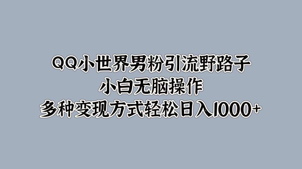 QQ小世界男粉引流野路子，小白无脑操作，多种变现方式轻松日入1000+-九章网创