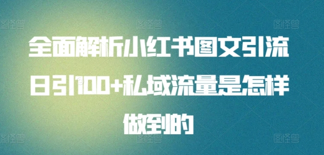 图片[1]-日引流100私域流量小红书图文是怎样做到的全面解析-九章网创