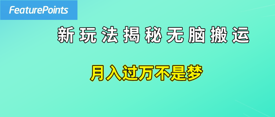 简单操作，每天50美元收入，搬运就是赚钱的秘诀！-九章网创