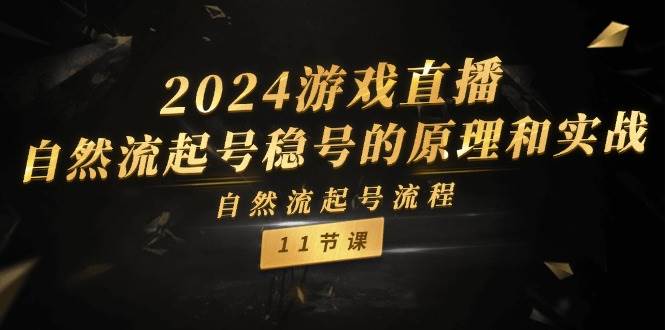 2024游戏直播-自然流起号稳号的原理和实战，自然流起号流程（11节）-九章网创