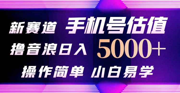 图片[1]-抖音不出境直播【手机号估值】最新撸音浪，日入5000+，简单易学，适合…-九章网创