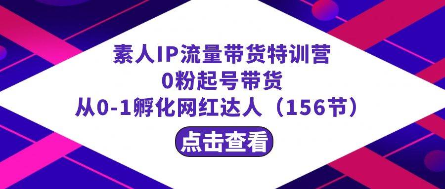 繁星·计划素人IP流量带货特训营：0粉起号带货 从0-1孵化网红达人（156节）-九章网创