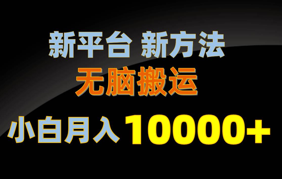 新平台新方法，无脑搬运，月赚10000+，小白轻松上手不动脑-九章网创