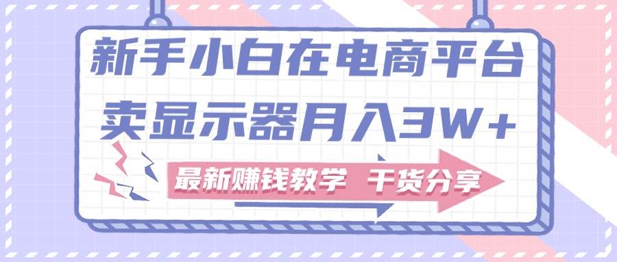 新手小白如何做到在电商平台卖显示器月入3W+，最新赚钱教学干货分享-九章网创