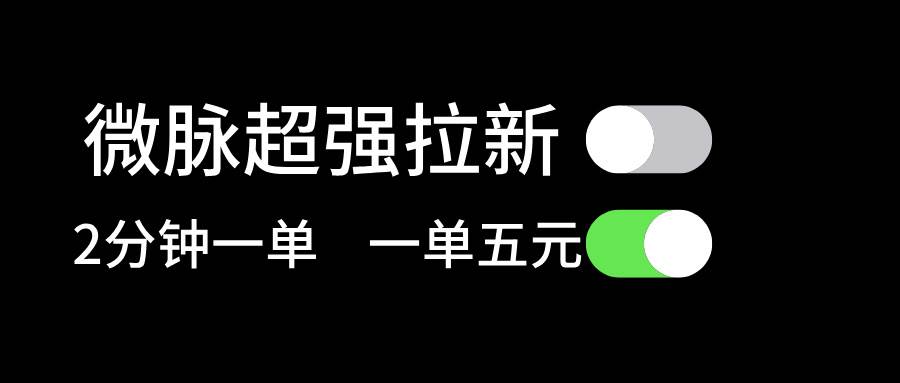 微脉超强拉新， 两分钟1单， 一单利润5块，适合小白-九章网创